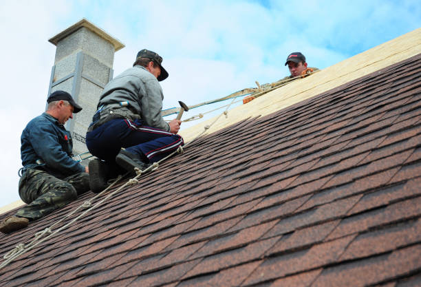 Quick and Trustworthy Emergency Roof Repair Services in Graton, CA